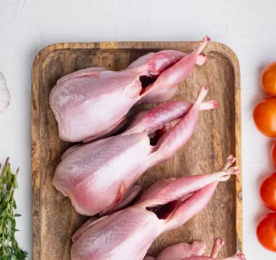 Quails