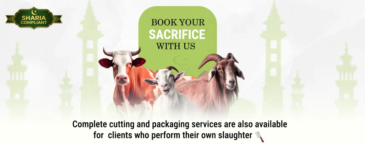 Premium Quality Meat