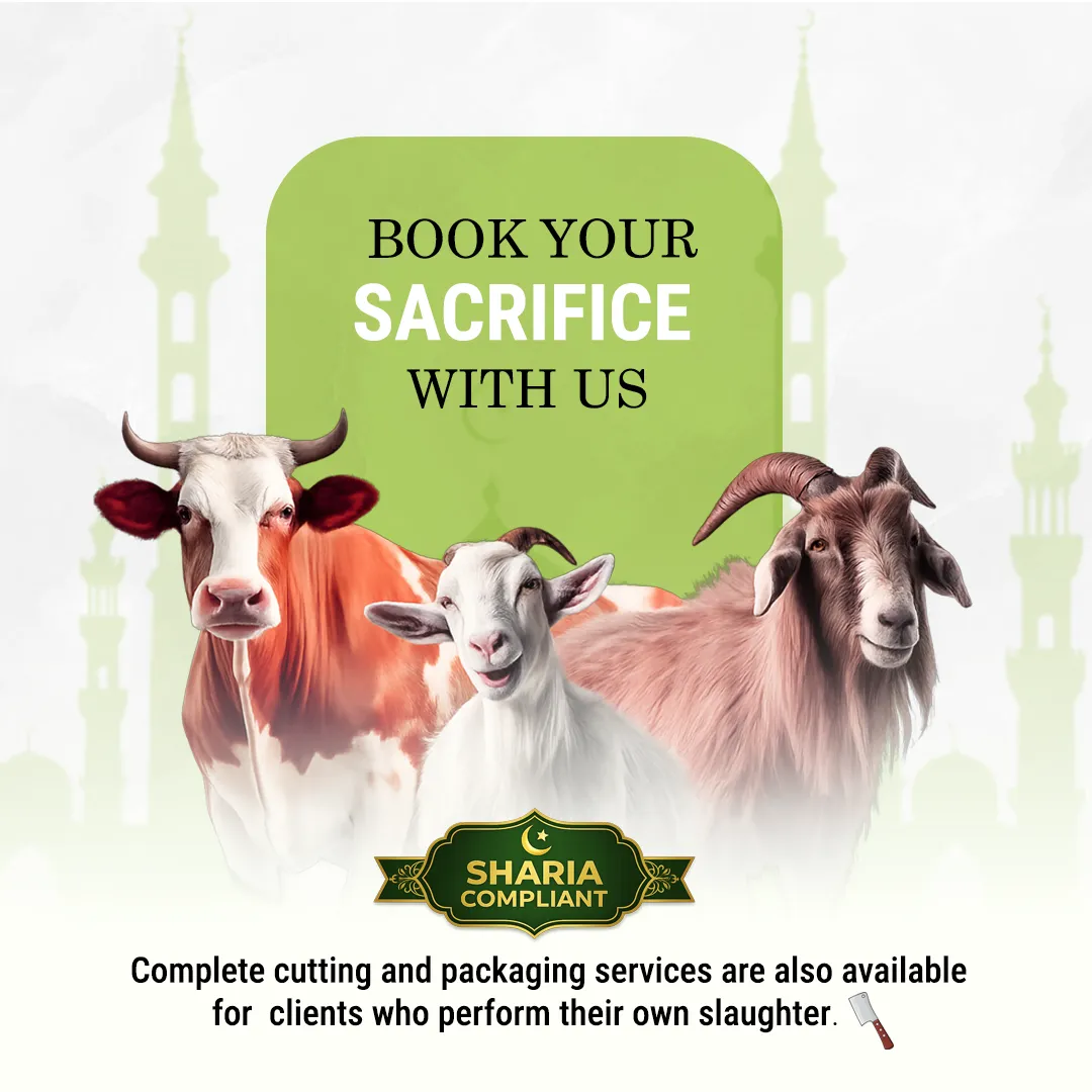 Premium Quality Meat